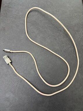 Metallic Gold Braided USB to USB-C Charging Cable